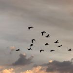 How to Migrate From HubSpot to On-Premise CRM in the UAE