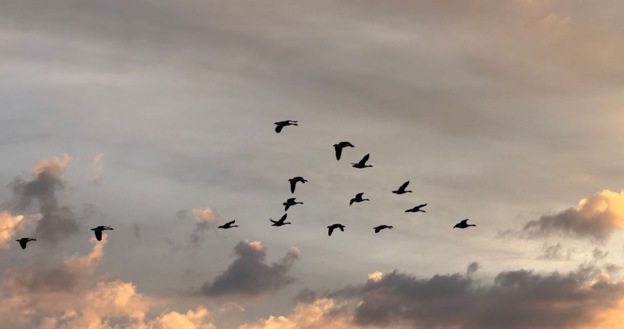 How to Migrate From HubSpot to On-Premise CRM in the UAE
